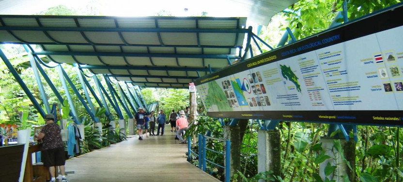Shore Excursion: Veragua Rainforest, Tram & Tortuguero Canal Boat Tour