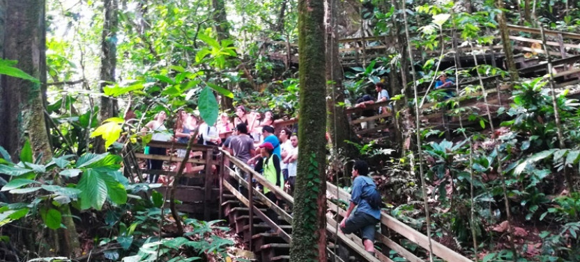 Shore Excursion: Veragua Rainforest, Tram & Tortuguero Canal Boat Tour