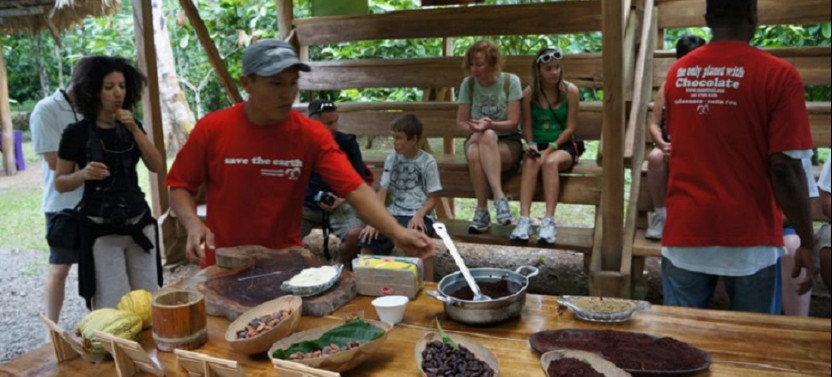Shore Excursion: Chocolate Lovers Tour From Puerto Limon