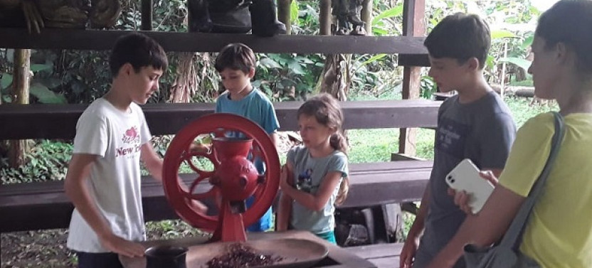 Shore Excursion: Chocolate Lovers Tour From Puerto Limon