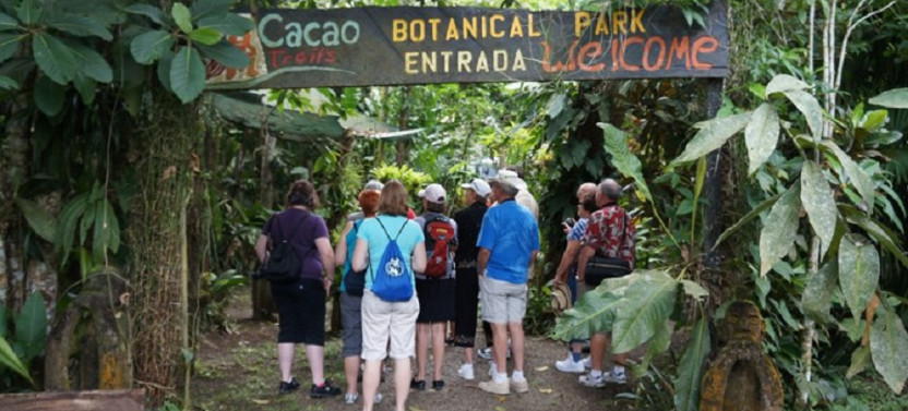 Shore Excursion: Chocolate Lovers Tour From Puerto Limon