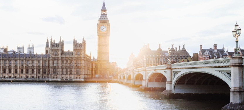 London Highlights Half-Day: Panoramic Private Tour by Car