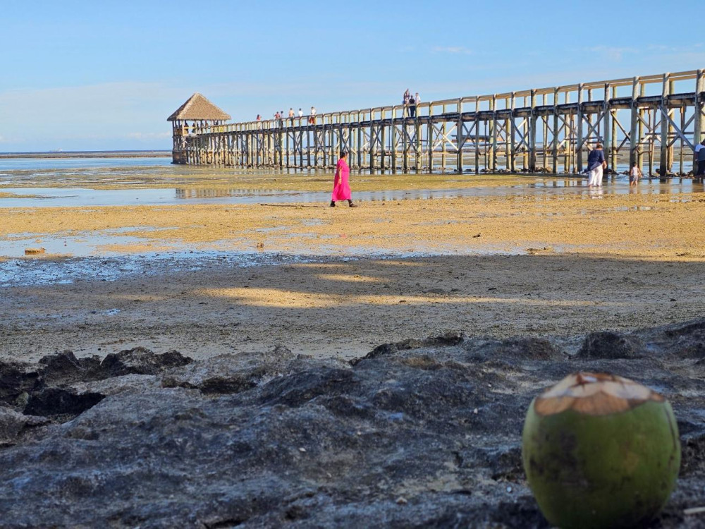 Suva City Tour With Fiji Museum Visit