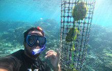 Pearl Farm - Dive for it5