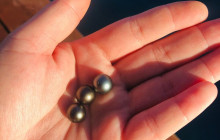 Pearl Farm - Dive for it9