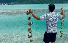 Pearl Farm - Dive for it14