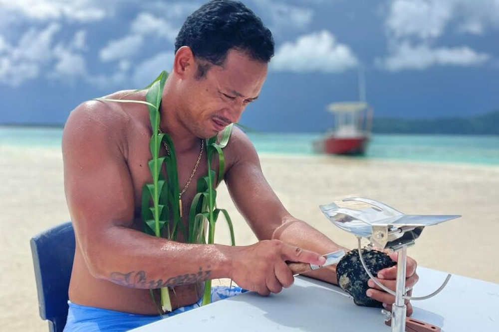 Pearl Farm - Dive for it