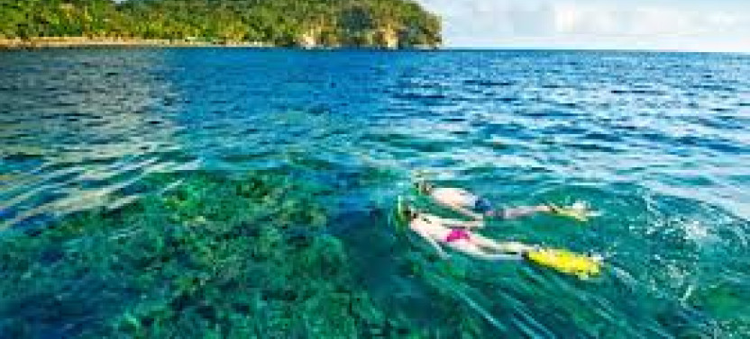 Private St Lucia Snorkeling Tour from Rodney Bay