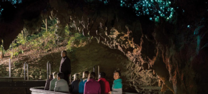 Hobbiton Movie Set & Waitomo Glowworm Caves Day Tour