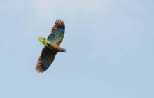 St Lu Taxi and Tours3