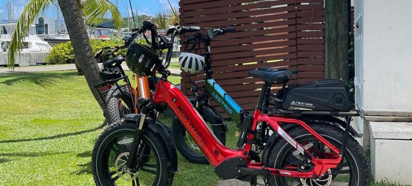 Private E-Bike Tour in St. Lucia Northern from Castries