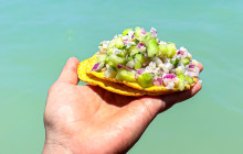 SAT Mexico tours and travel11