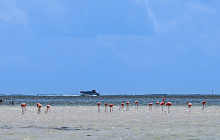 SAT Mexico tours and travel13