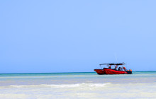 SAT Mexico tours and travel15