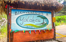 SAT Mexico tours and travel18