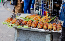 SAT Mexico tours and travel8