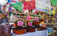 SAT Mexico tours and travel2