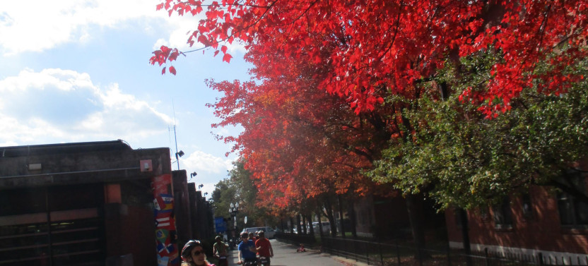 Boston's Green Spaces Emerald Necklace Tour