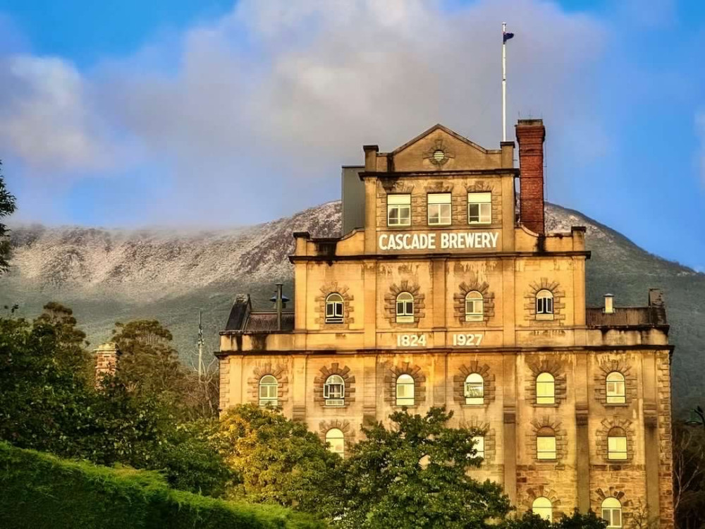 Shore Excursion - Half-Day Hobart City Tour with Mount Wellington