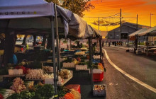 Tours Around Tasmania Pty Ltd7