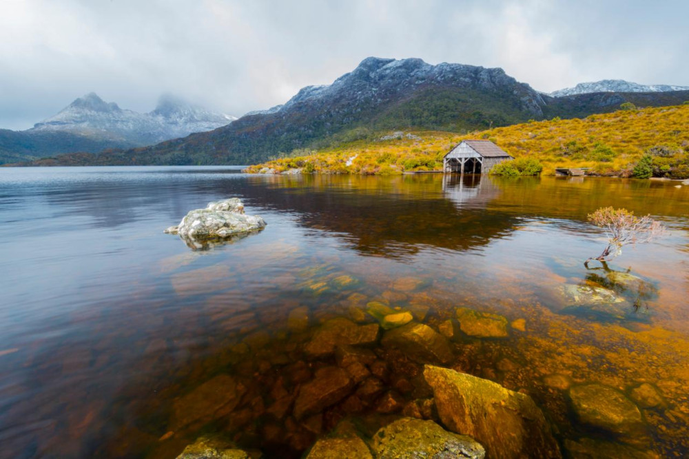 Tassie Tours Tasmania