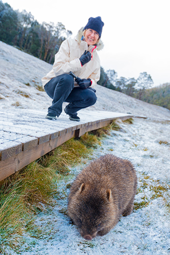 Tours Around Tasmania Pty Ltd
