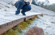 Tours Around Tasmania Pty Ltd3