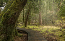 Tours Around Tasmania Pty Ltd4