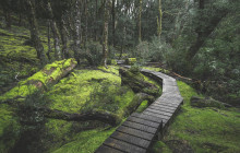 Tours Around Tasmania Pty Ltd6