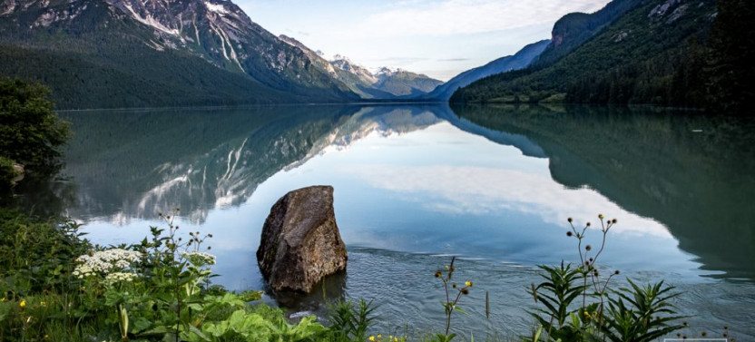 Chilkoot Lake Nature and Wildlife Viewing Excursion from Haines - 4 Hrs