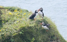 Iceland Paradise Tours15