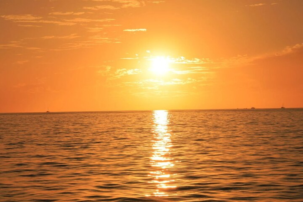 Los Cabos Private Catamaran Sunset Cruise with Snacks & Open Bar