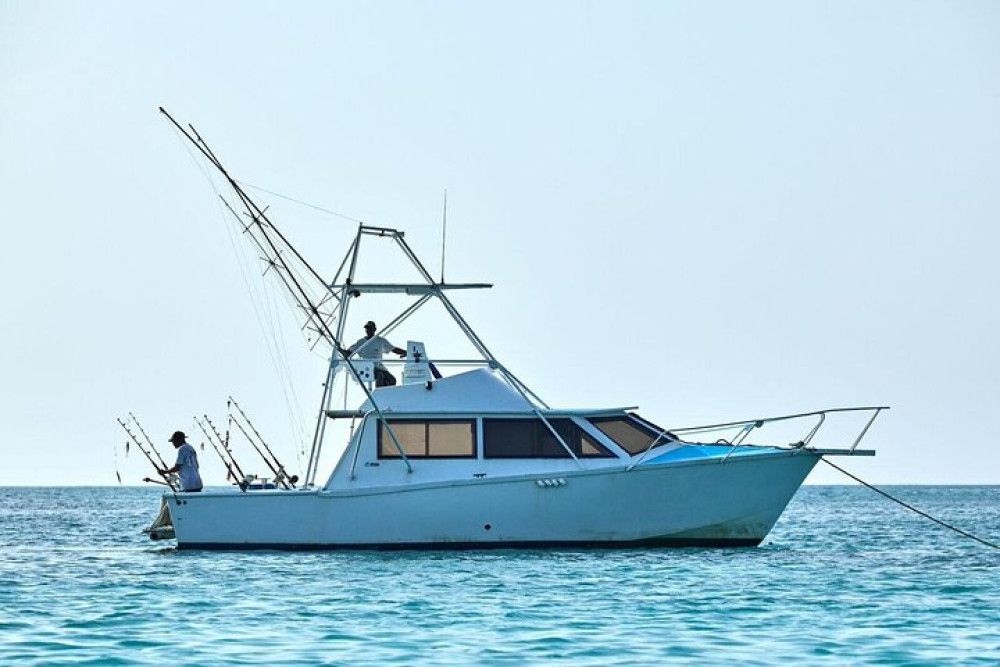 Zanzibar Deep Sea Fishing Charter Big Game Experience