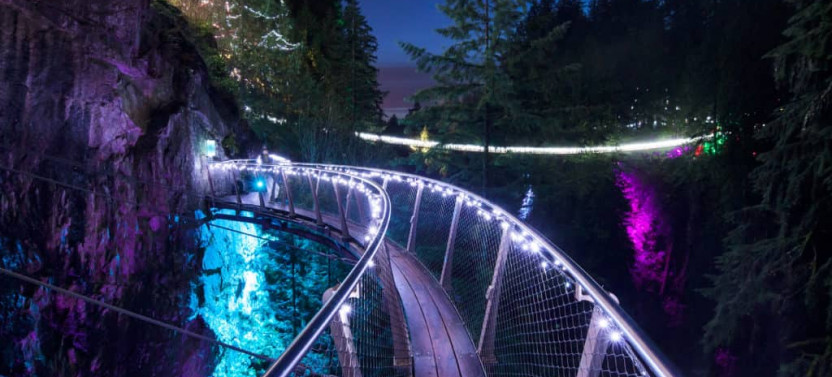 Small Group Vancouver City Tour with Capilano Canyon Lights