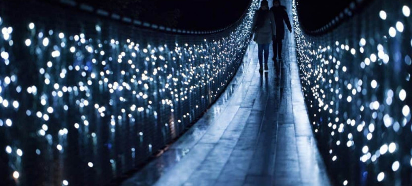 Small Group Vancouver City Tour with Capilano Canyon Lights