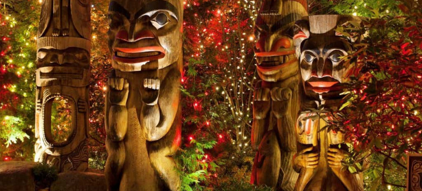 Small Group Vancouver City Tour with Capilano Canyon Lights