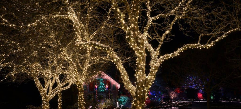 Small Group Victoria City Tour with Butchart Gardens Christmas Tour