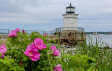 Portland Discovery Land and SeaTours1
