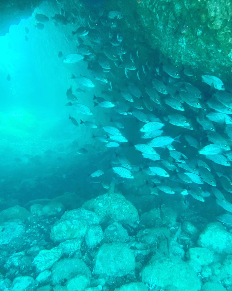 Bahia Rica Adventures