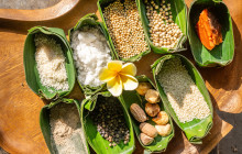 Discova Day Tours and Activities4