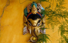 Discova Day Tours and Activities9