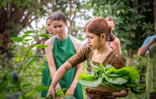 Discova Day Tours and Activities10