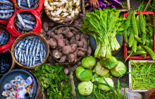 Discova Day Tours and Activities13