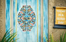 Discova Day Tours and Activities16