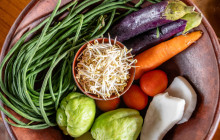 Discova Day Tours and Activities19