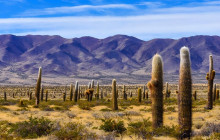 La Quebrada Turismo14