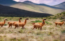 La Quebrada Turismo28