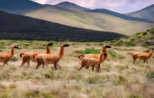 La Quebrada Turismo16