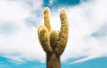 La Quebrada Turismo1