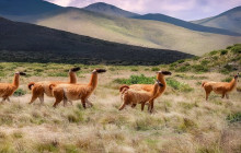 La Quebrada Turismo16